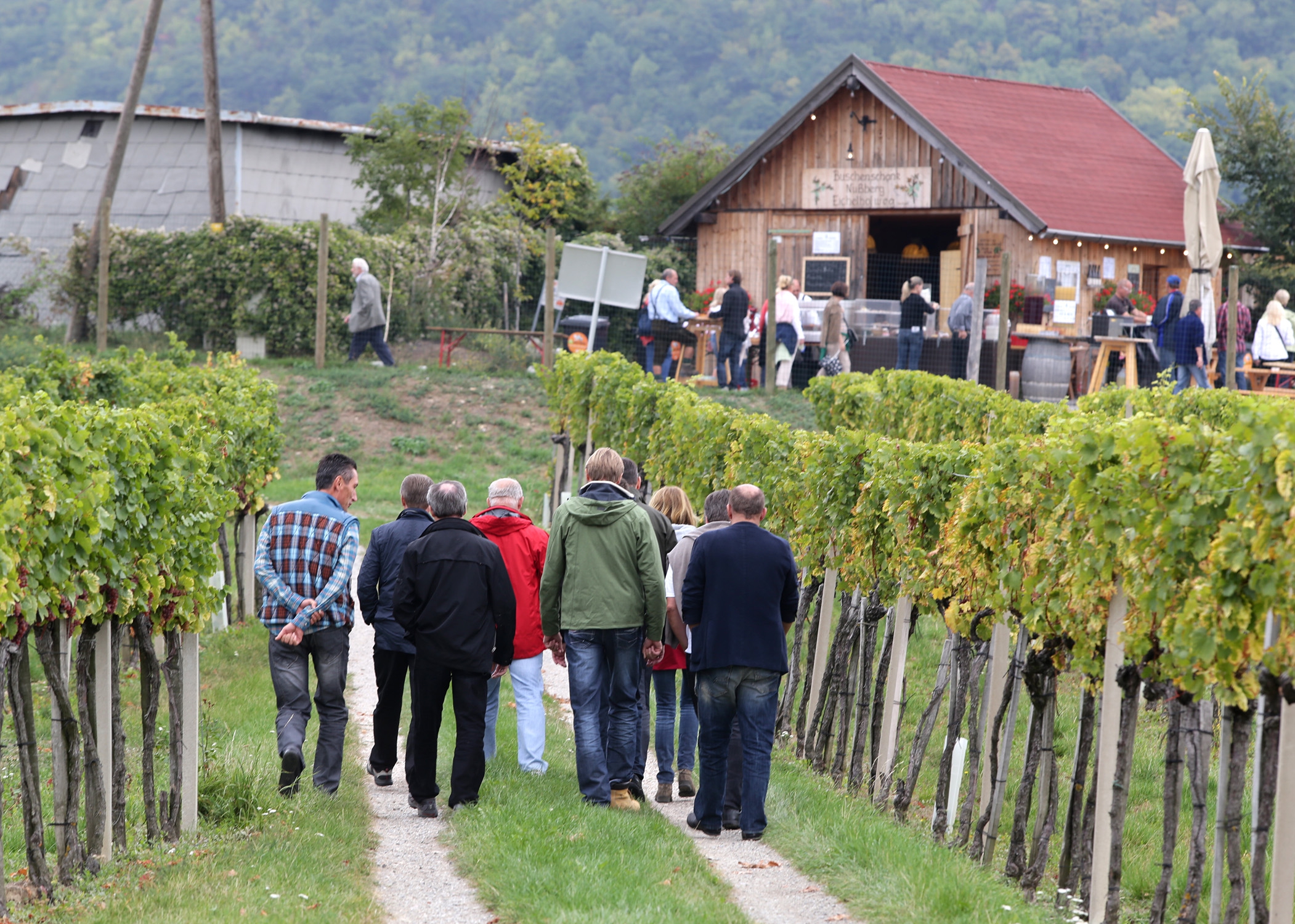 Wiener Weinwandertag 002 © PID Houdek