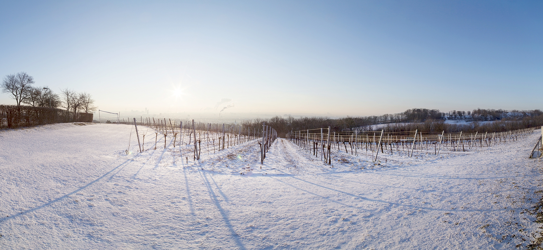 Winter am Cobenzl © Raimo Rudi Rumpler