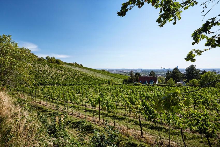 Ried Preussen © Herbert Lehmann