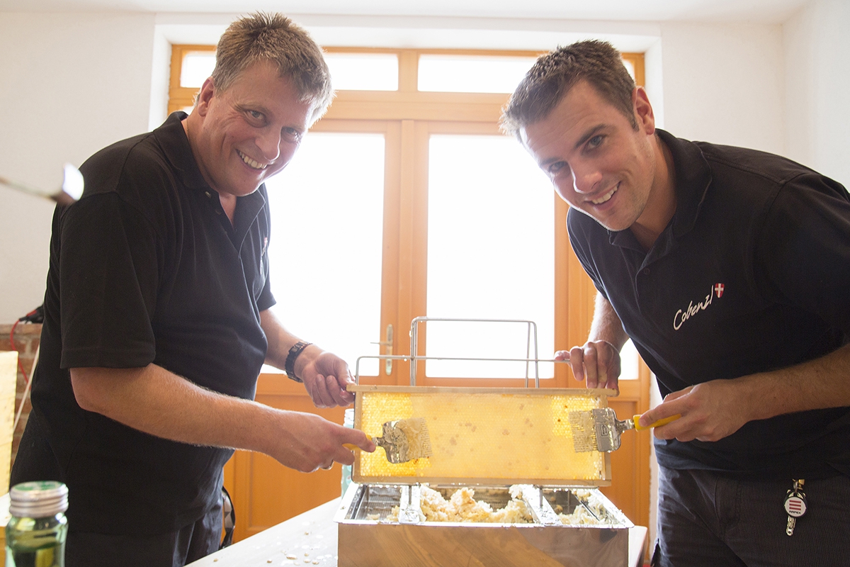 Bio-Honig vom Weingut Cobenzl 013 © Raimo Rudi Rumpler