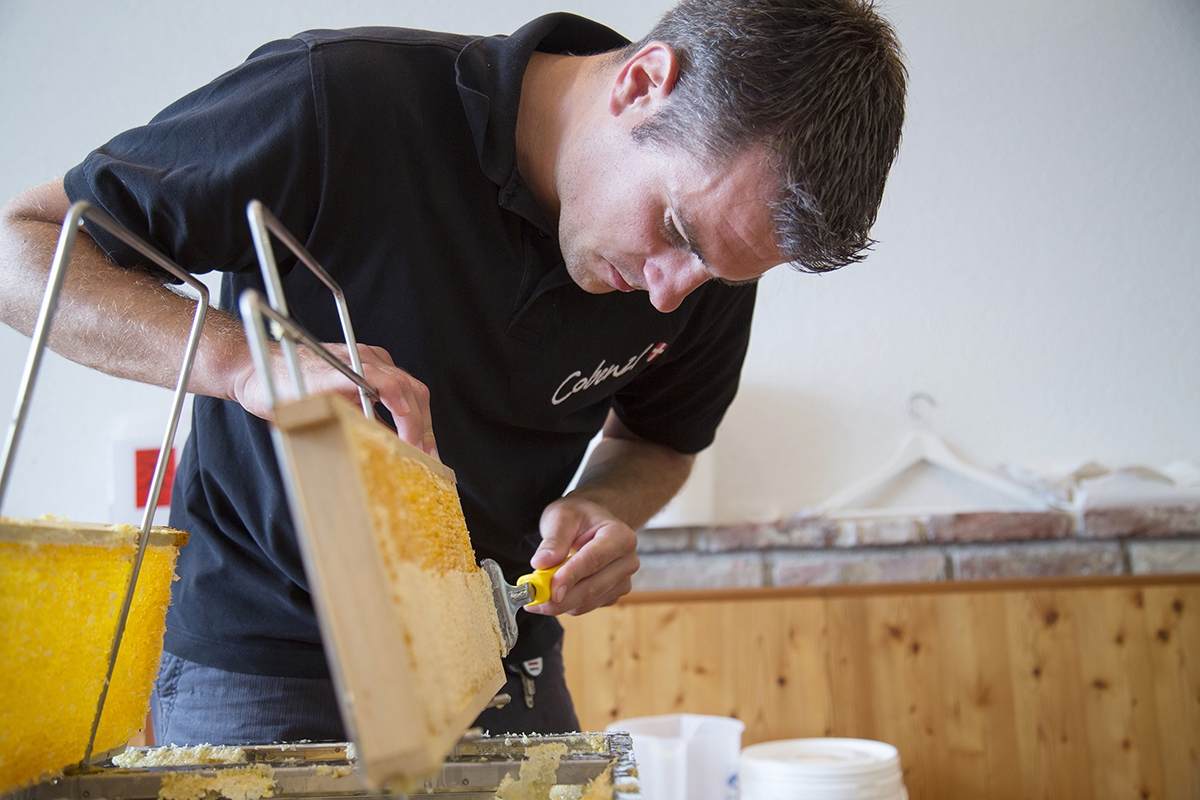 Bio-Honig vom Weingut Cobenzl 016 © Raimo Rudi Rumpler