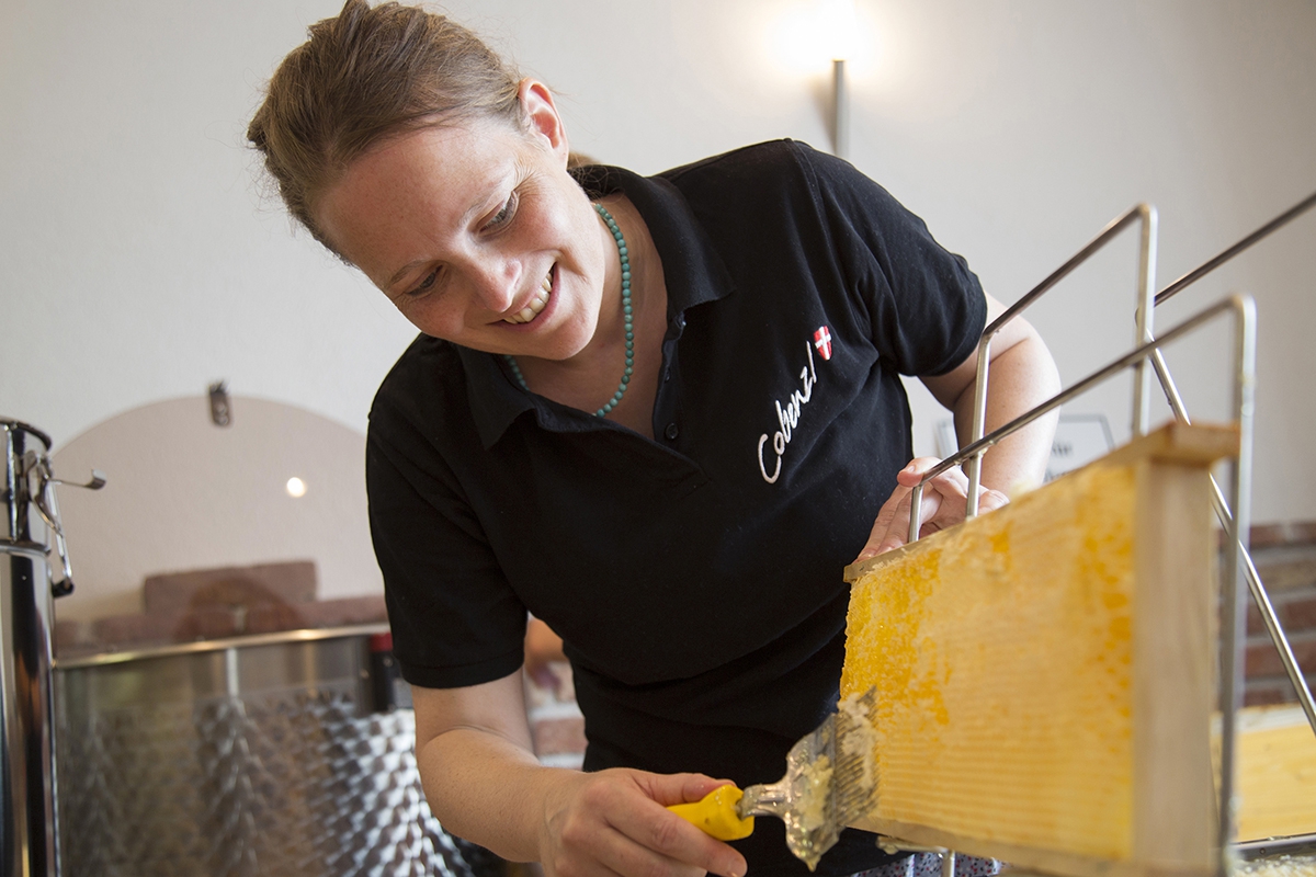 Bio-Honig vom Weingut Cobenzl 019 © Raimo Rudi Rumpler