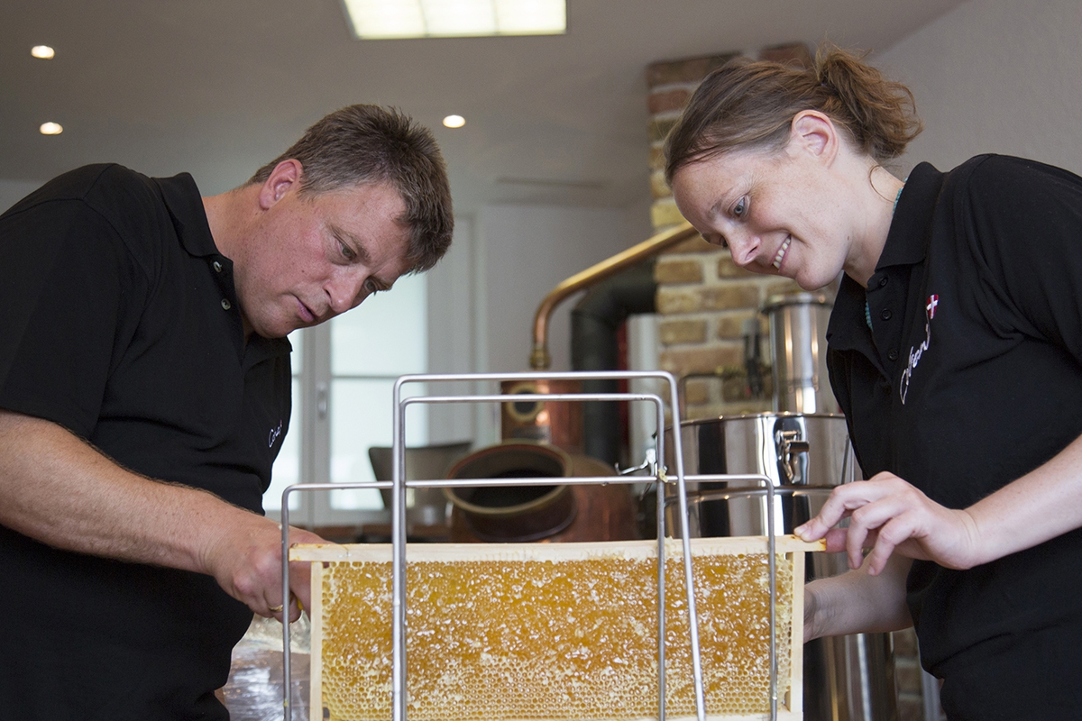 Bio-Honig vom Weingut Cobenzl 021 © Raimo Rudi Rumpler