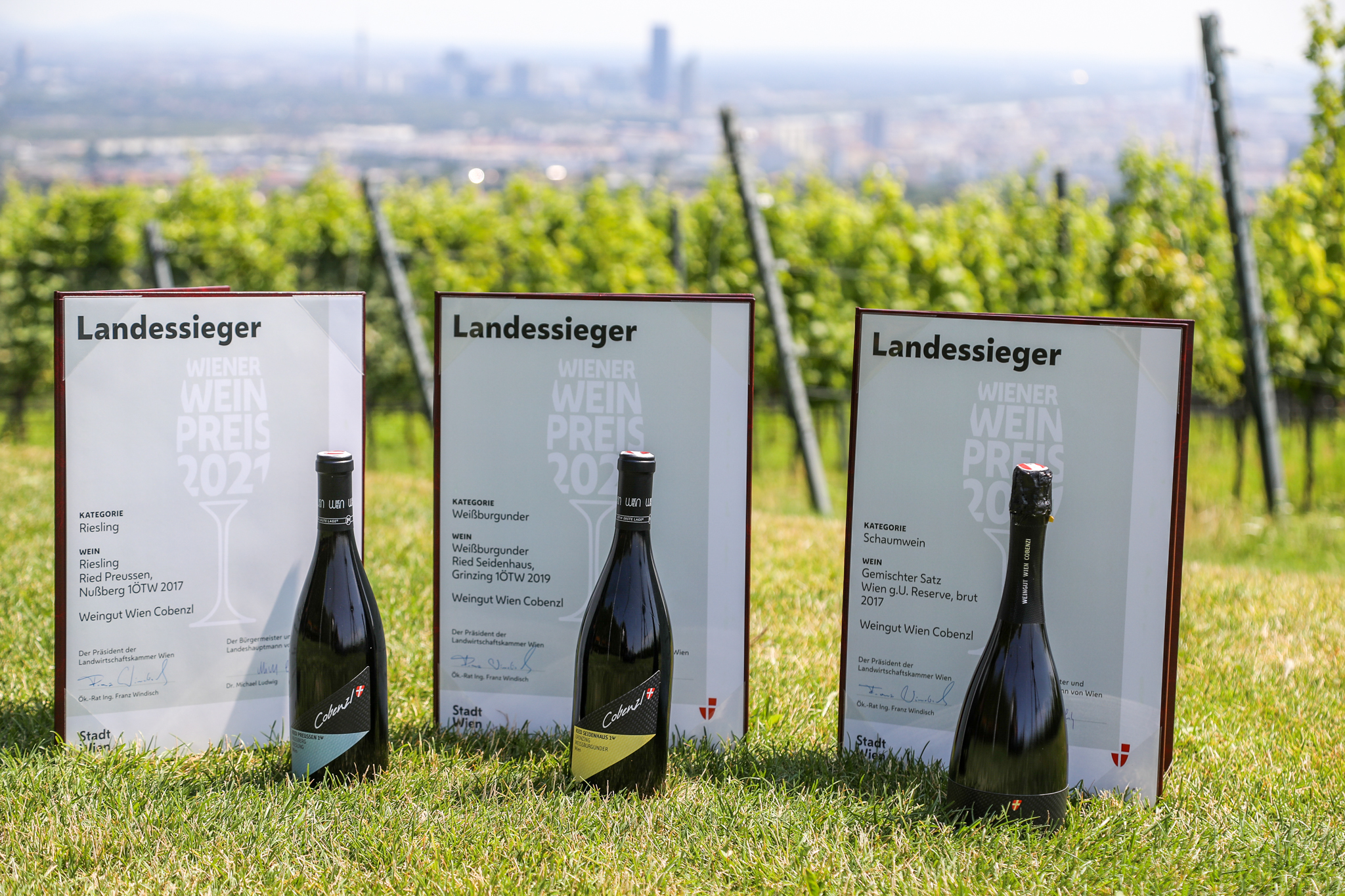 Wiener Weinpreis 2021_3 © christian fürthner