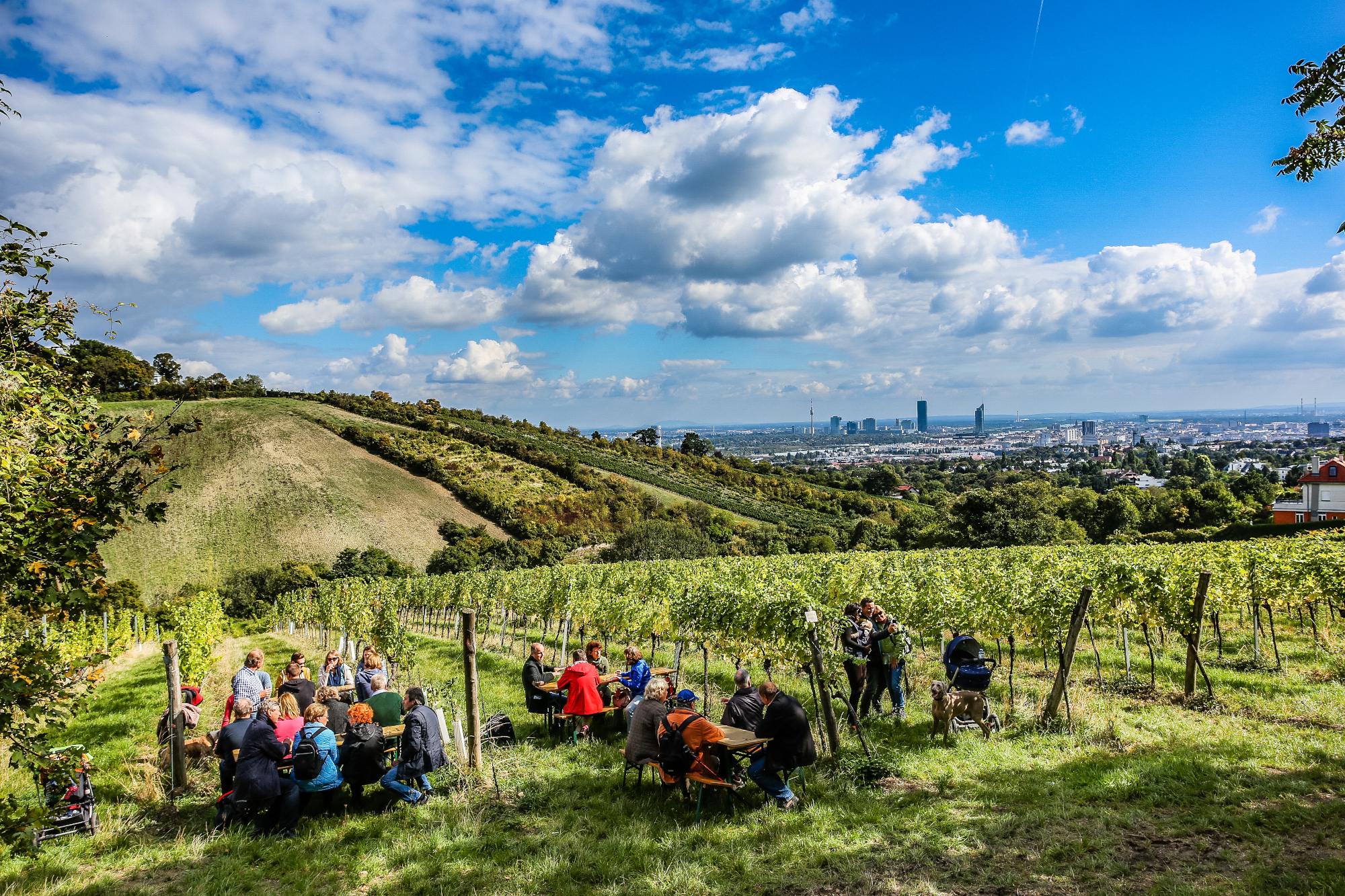 Weinwandertag © Christian Fürthner