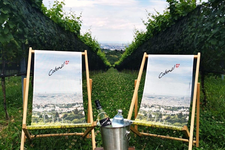 Genuss am Cobenzl © impacts
